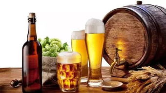 啤酒的多元魅力 不止于解渴，探尋其獨(dú)特風(fēng)味與妙用