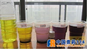 烈酒甜味背后 如何科學(xué)判斷脫霉劑處理霉菌毒素的能力？
